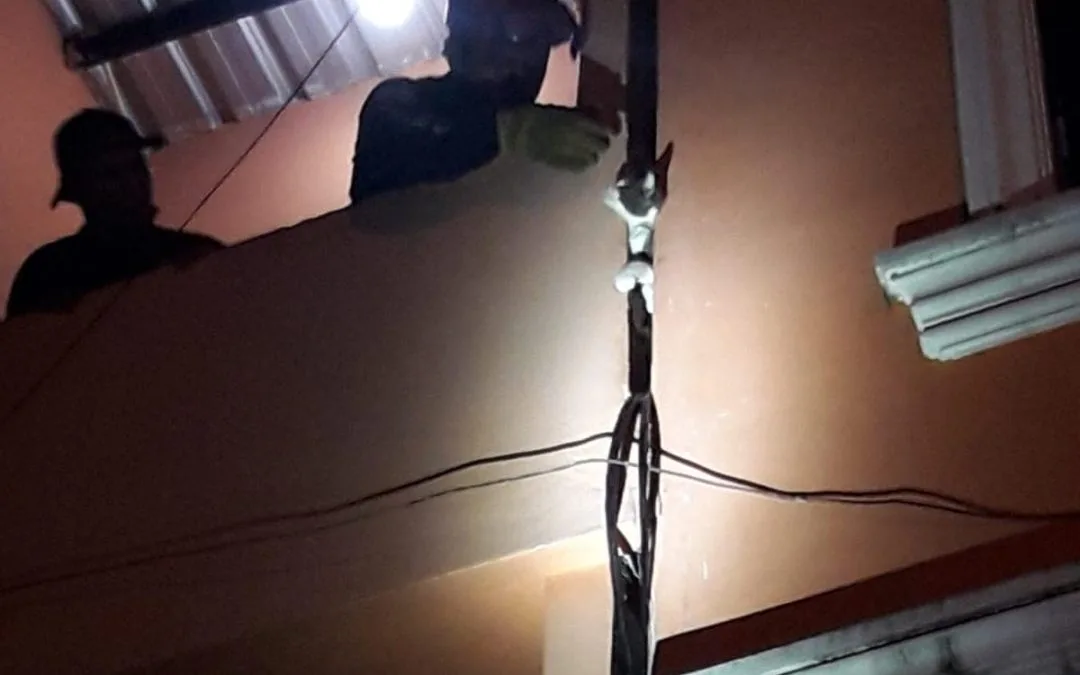 PERSONAL OPERATIVO REALIZA RESCATE